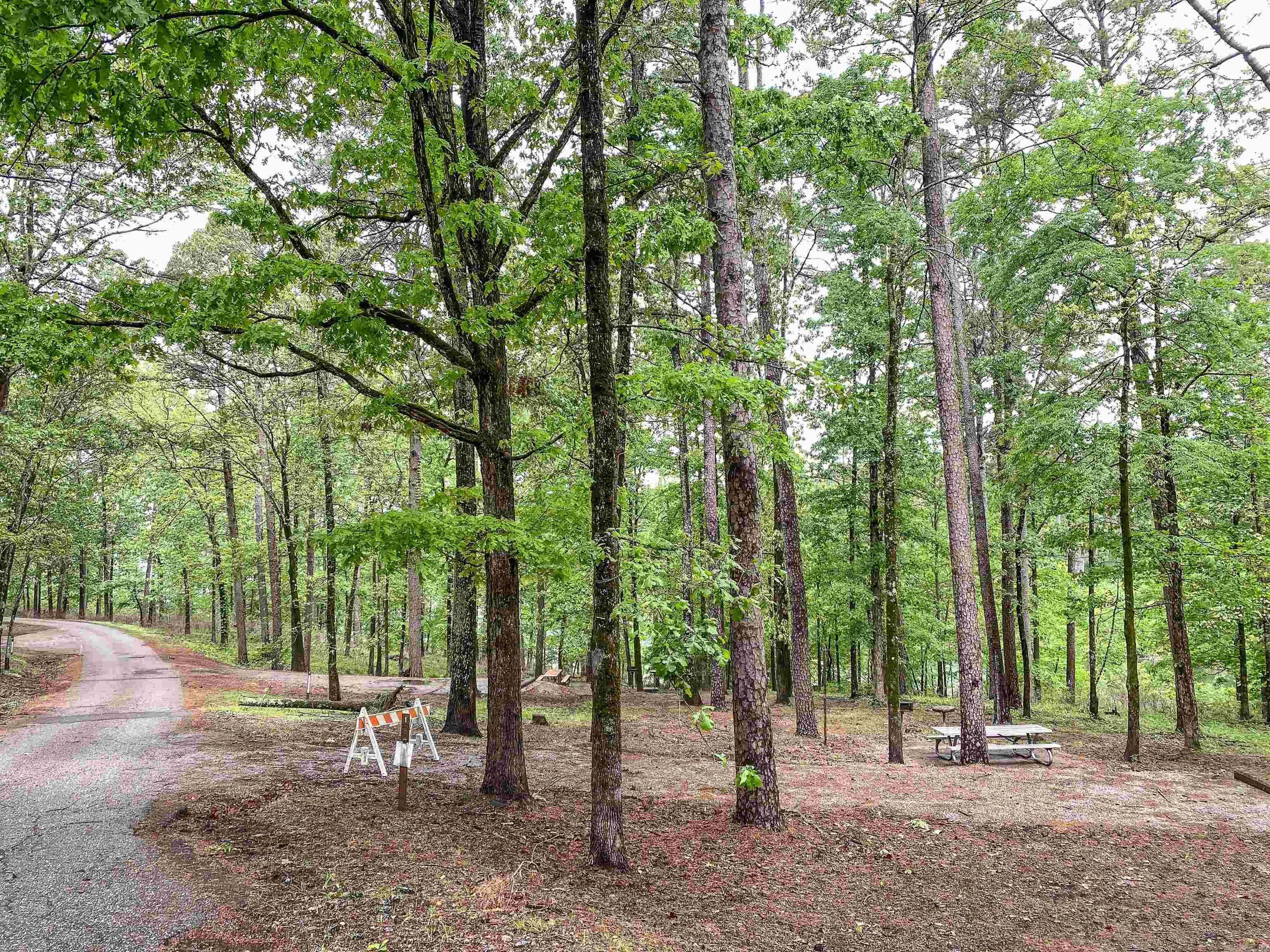 Golf Course Living: 3-Acre Wooded Retreat!