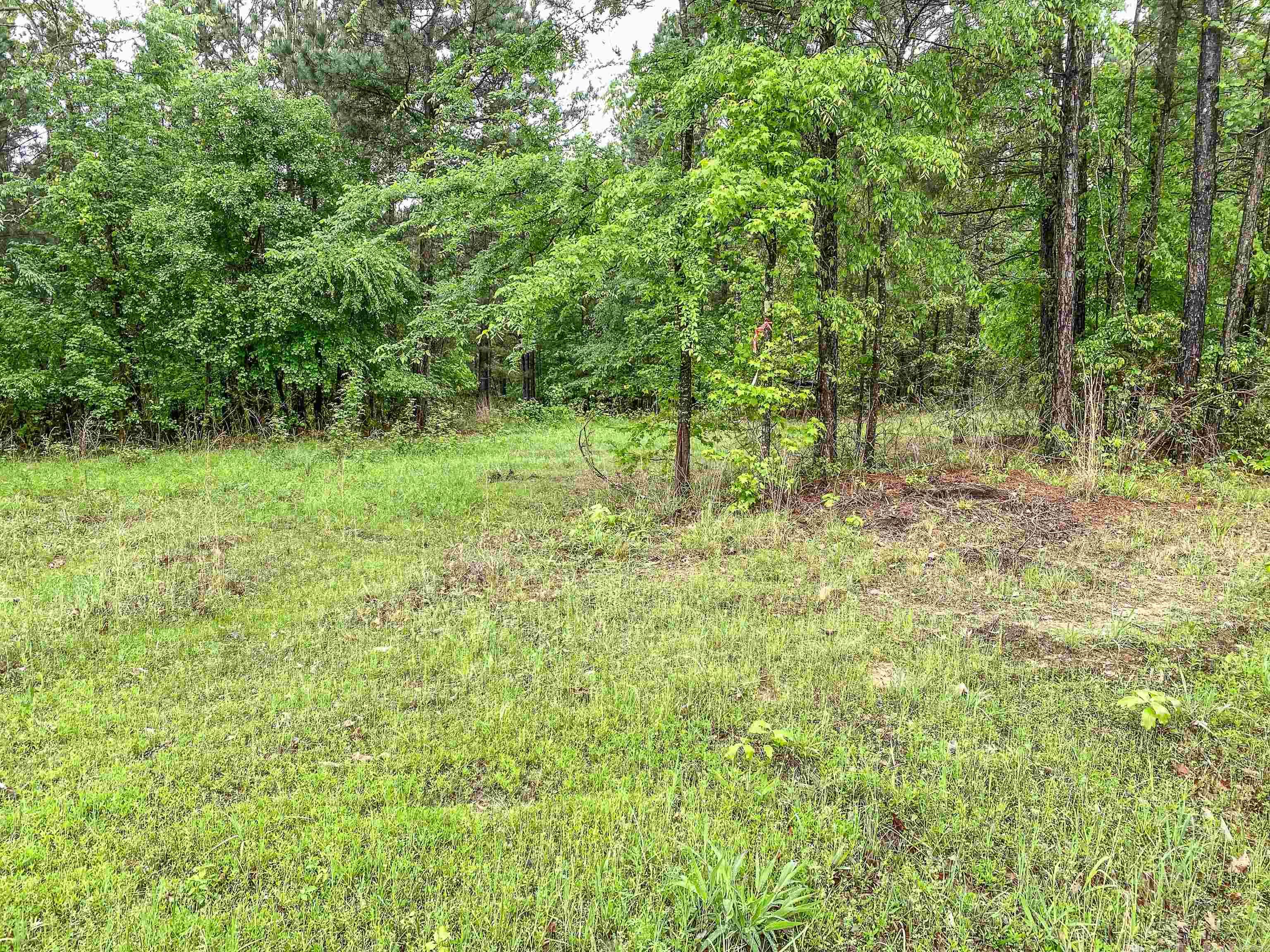 Golf Course Living: 3-Acre Wooded Retreat!