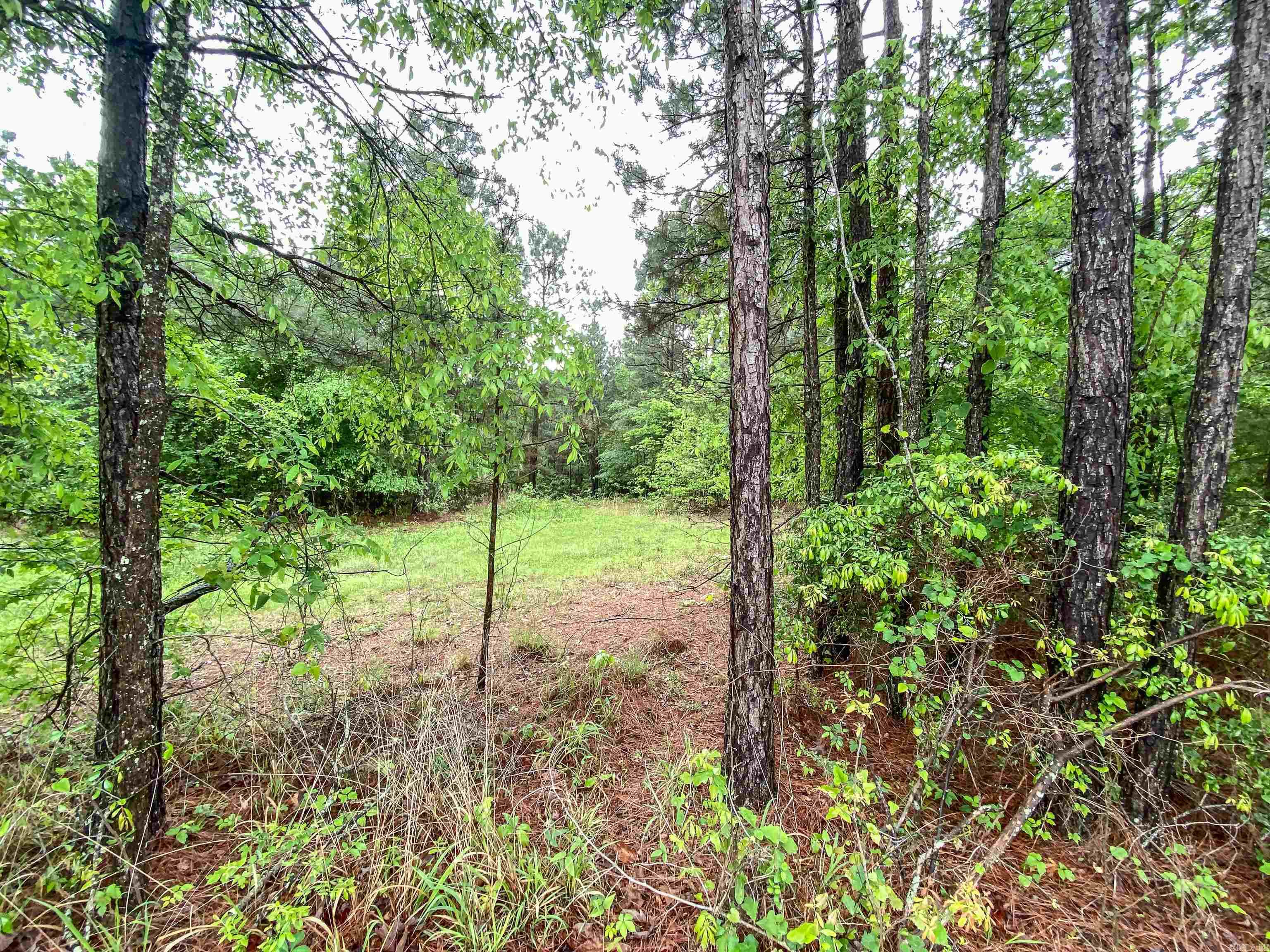 Golf Course Living: 3-Acre Wooded Retreat!