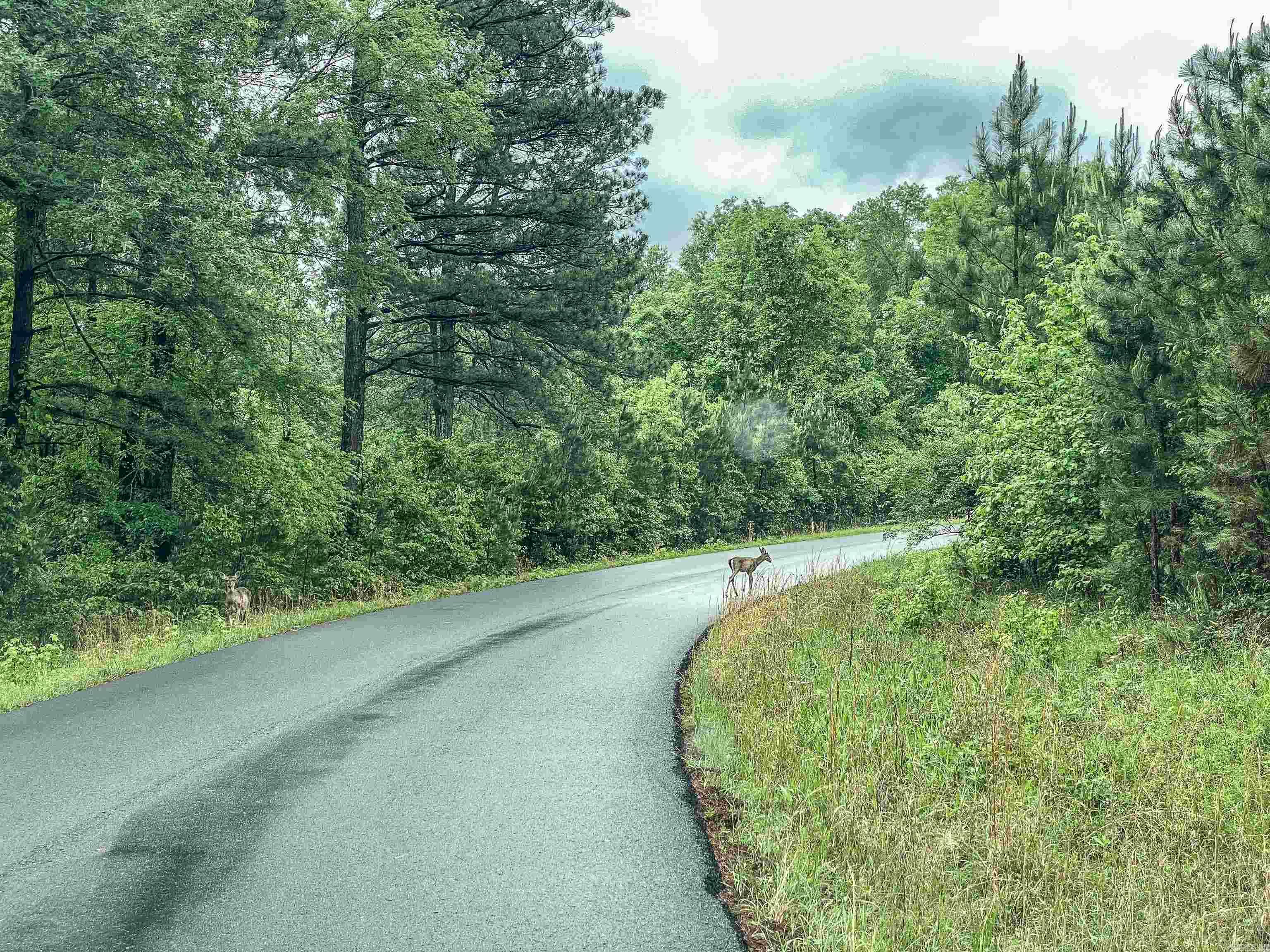 Golf Course Living: 3-Acre Wooded Retreat!