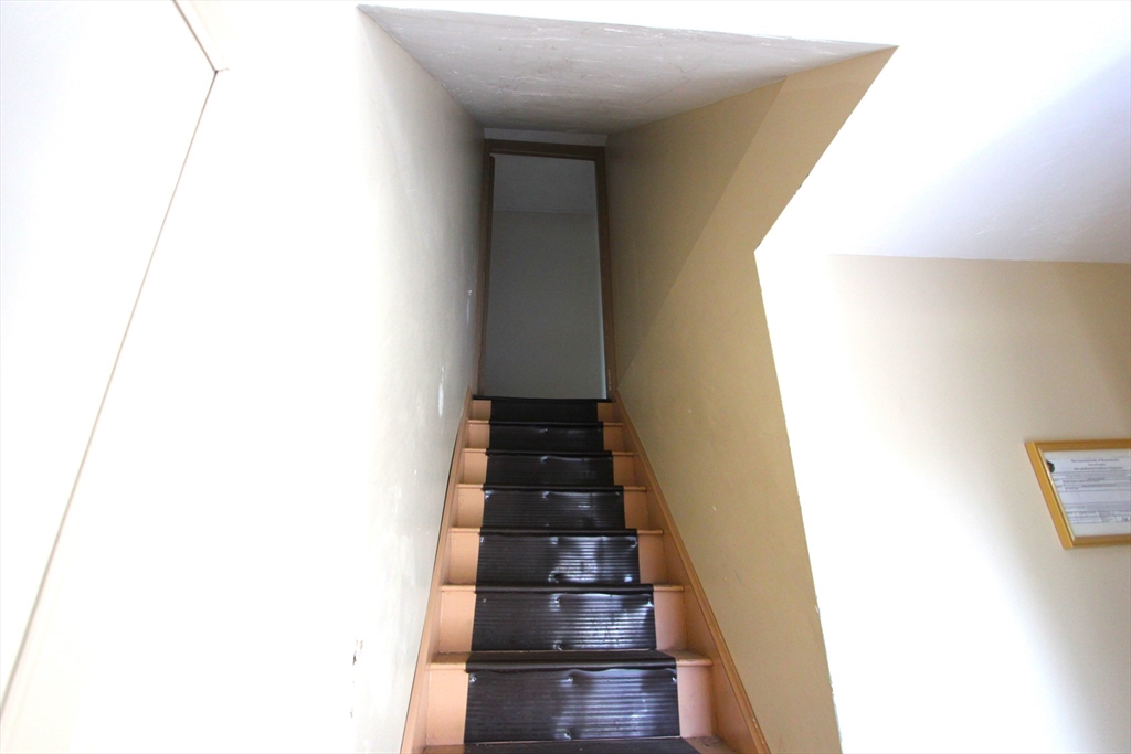 43 Oak St # 3