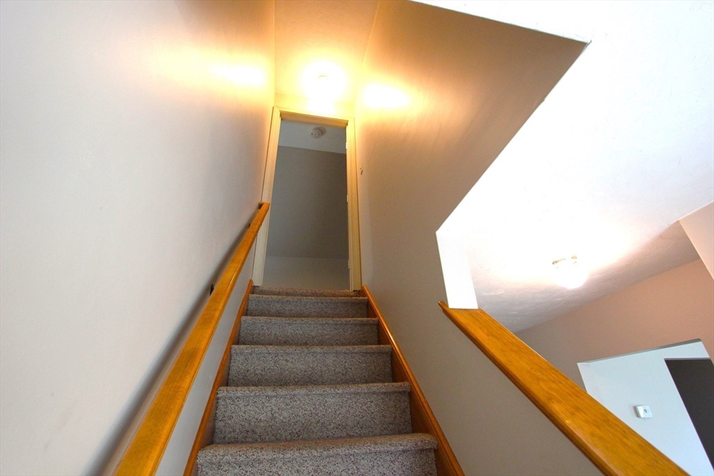 43 Oak St # 3