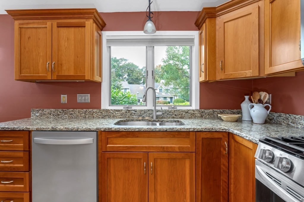 10 Birchtree Cir # 10
