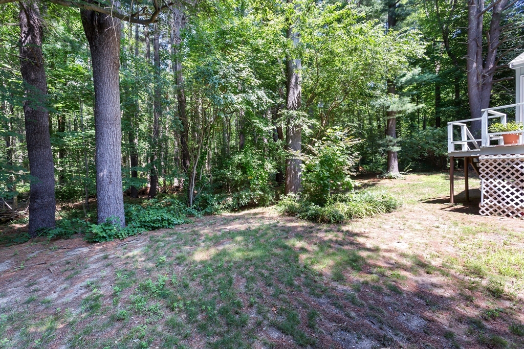 170 David Rd