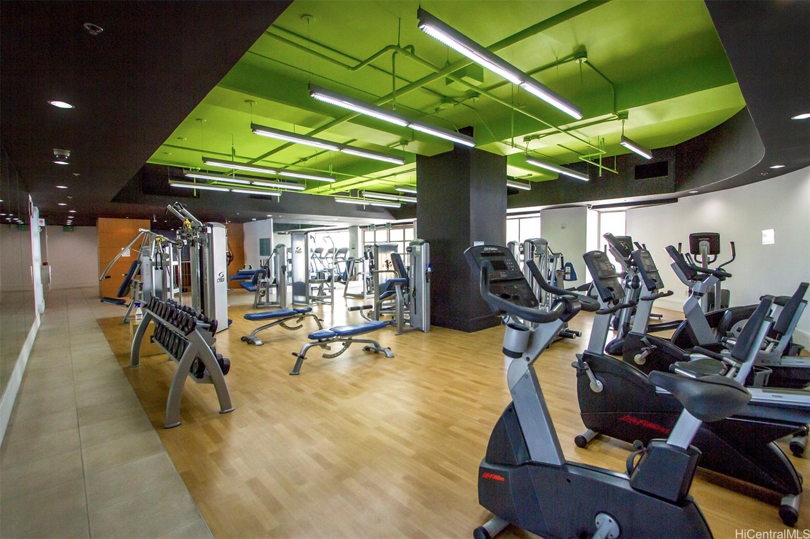 410 Atkinson Drive 1419