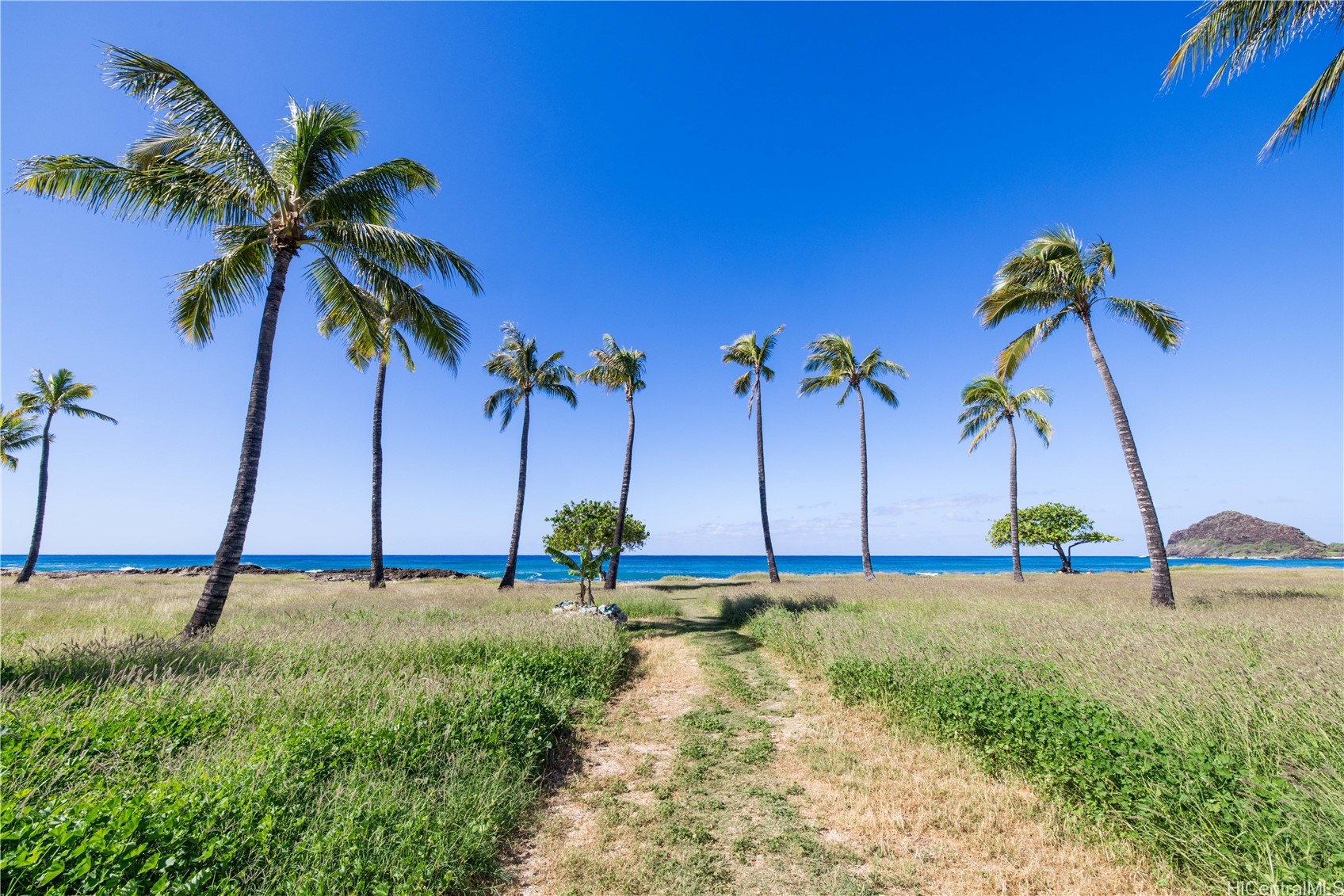 85-175 Farrington Highway C414