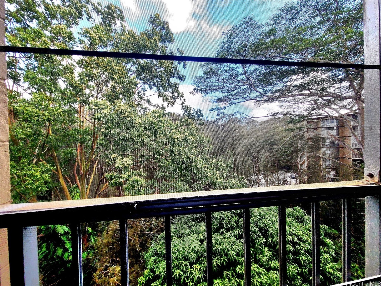 95-269 Waikalani Drive C1003