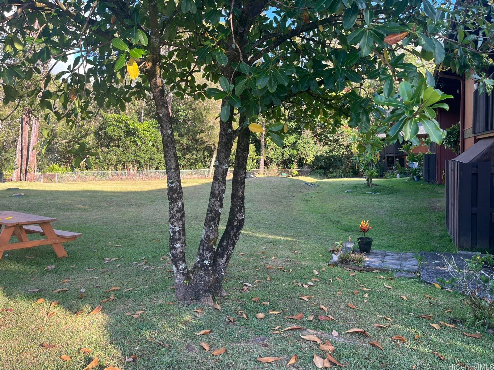 2069 California Avenue 13C