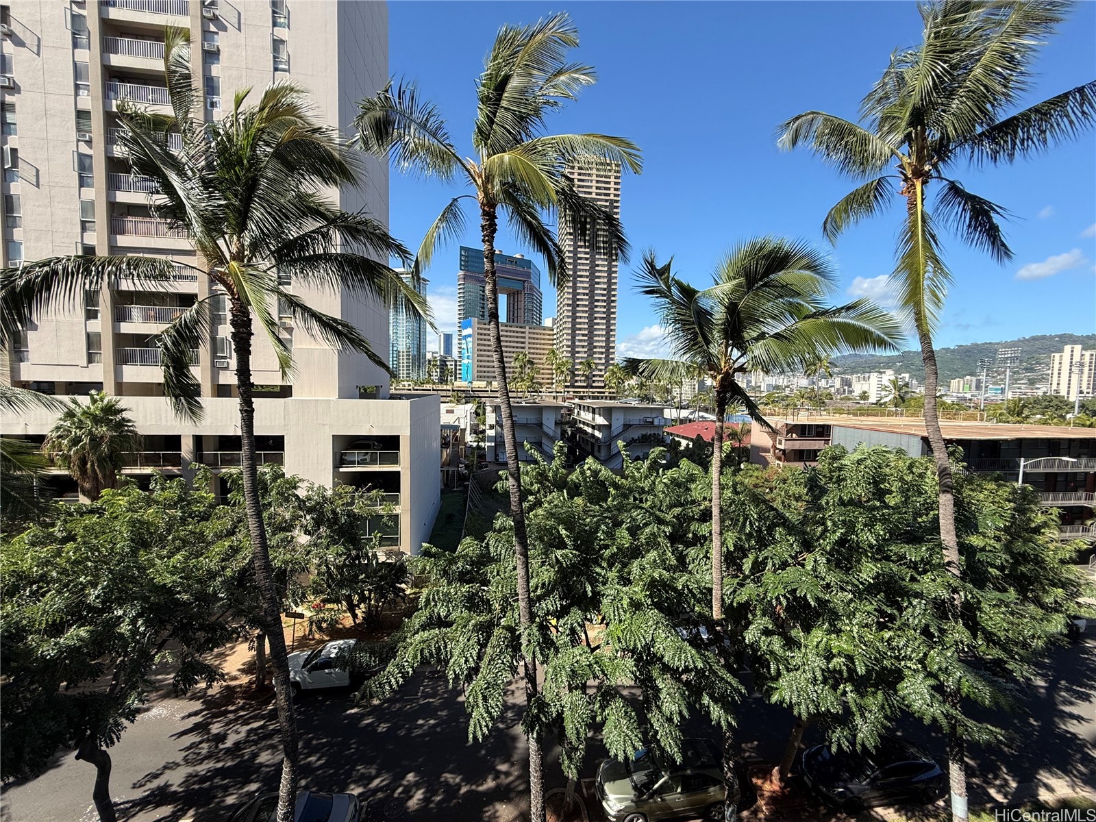 439 Keoniana Street 504