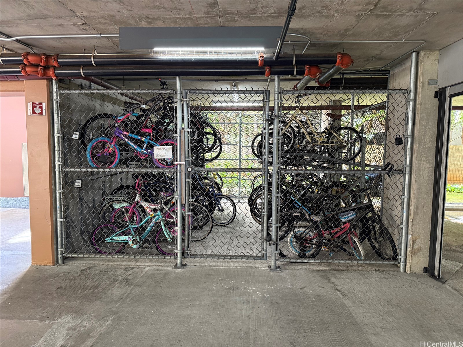 1810 Kaioo Drive B513