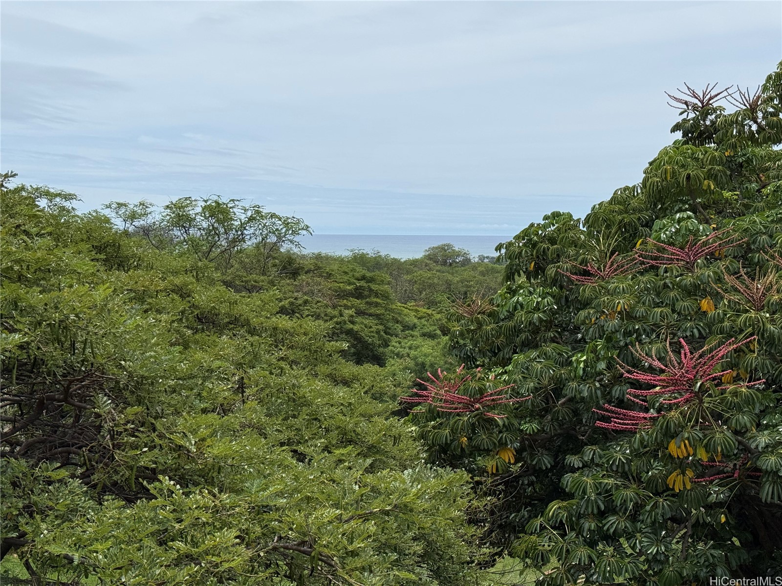 84-687 Ala Mahiku Street 30134B