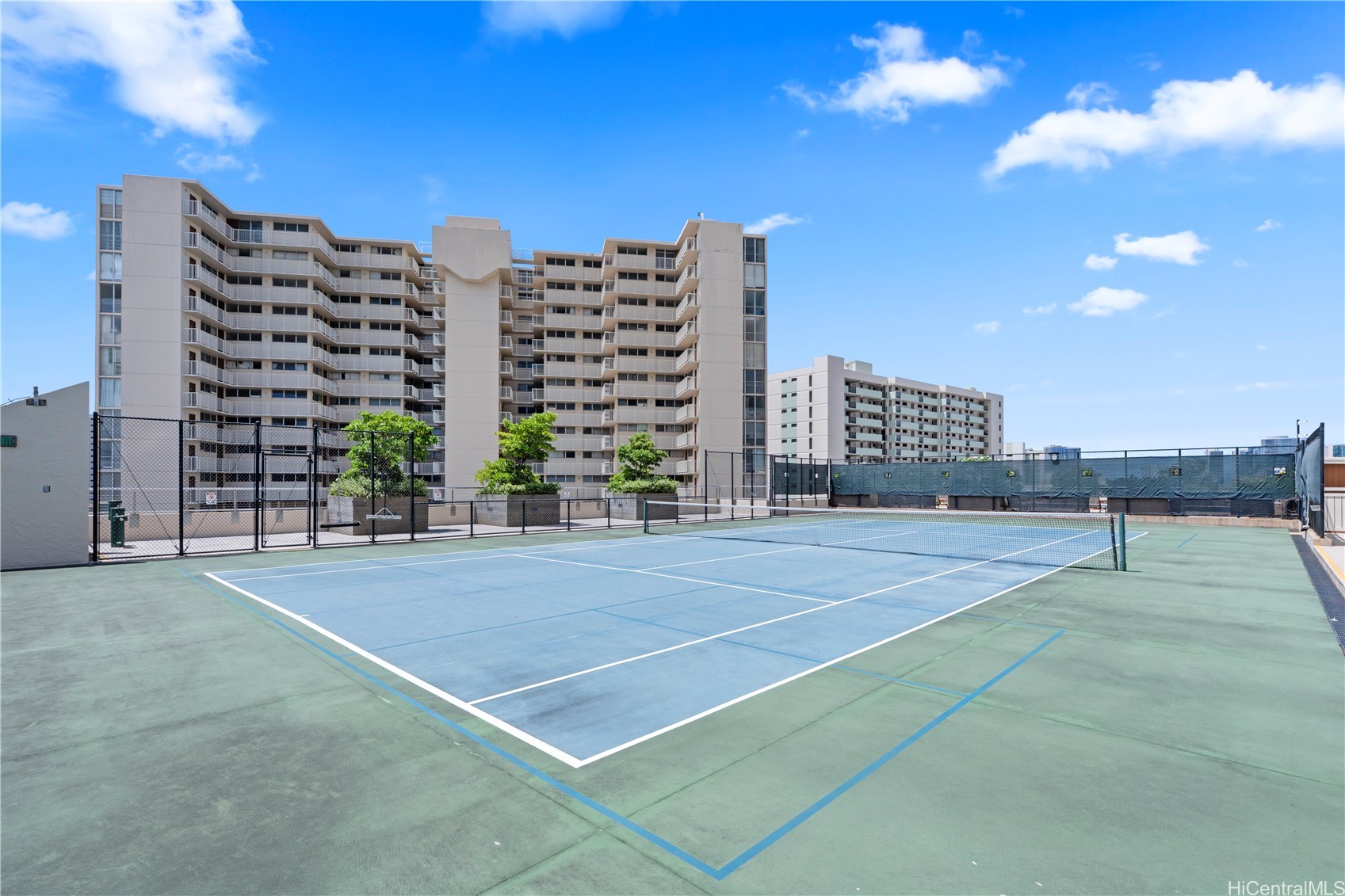 1717 Mott Smith Drive 2904