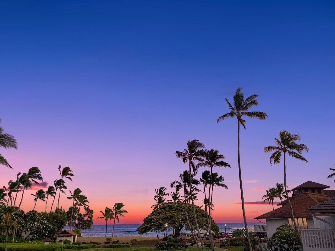 2253 Poipu Rd Unit: 212