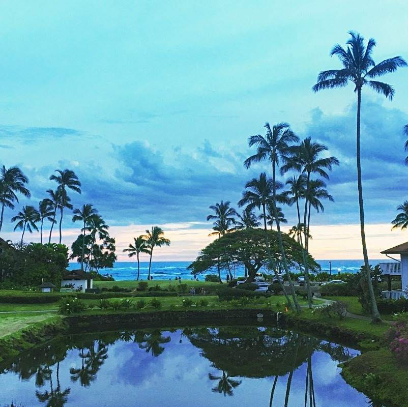 2253 Poipu Rd Unit: 212
