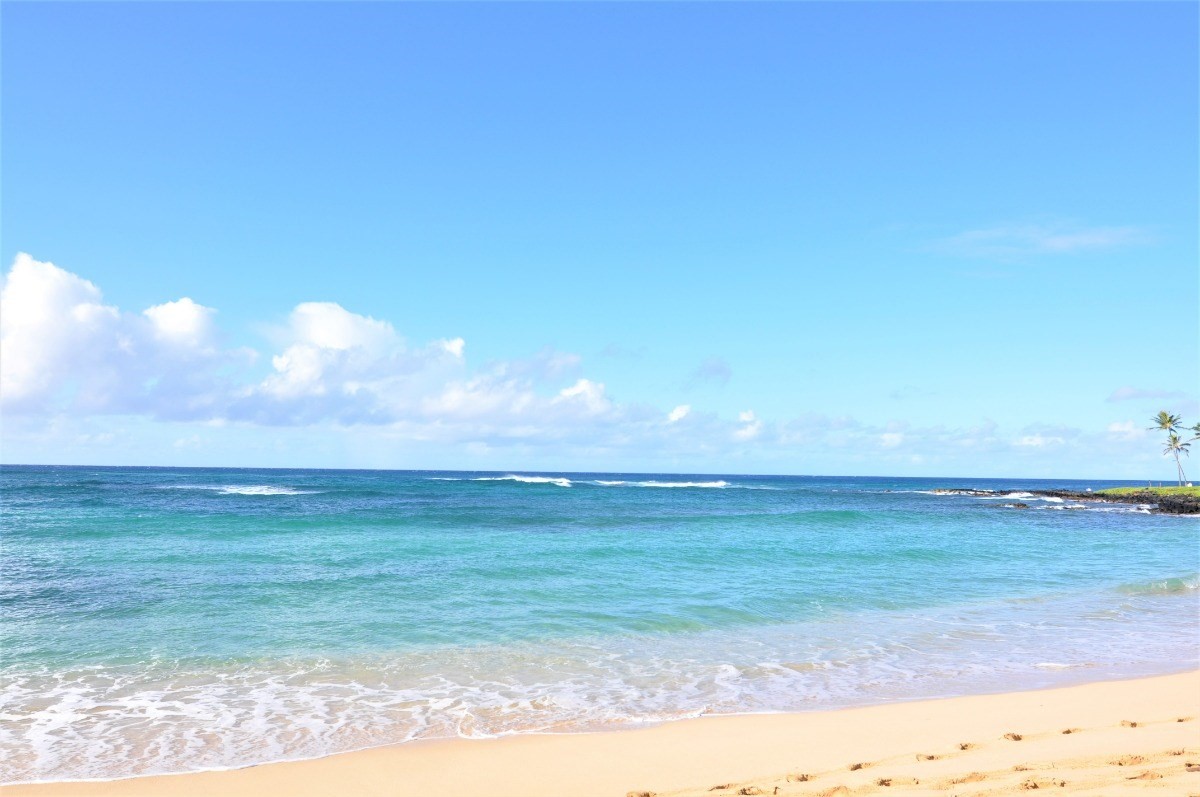 2253 Poipu Rd Unit: 212