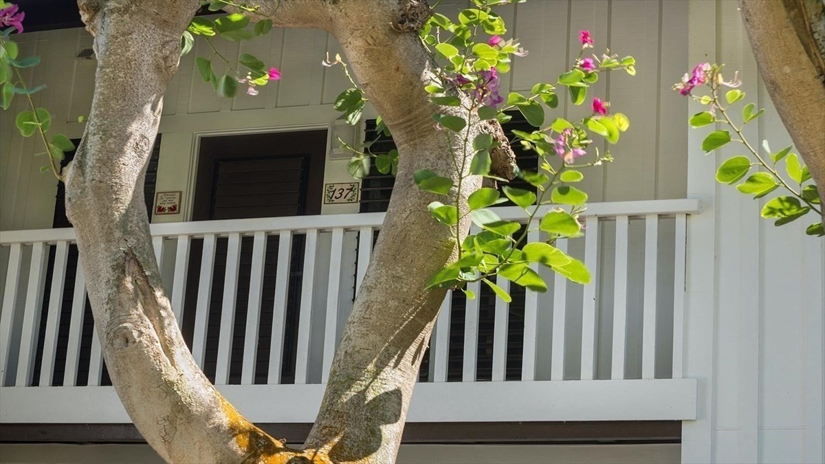 2253 Poipu Rd Unit: 137