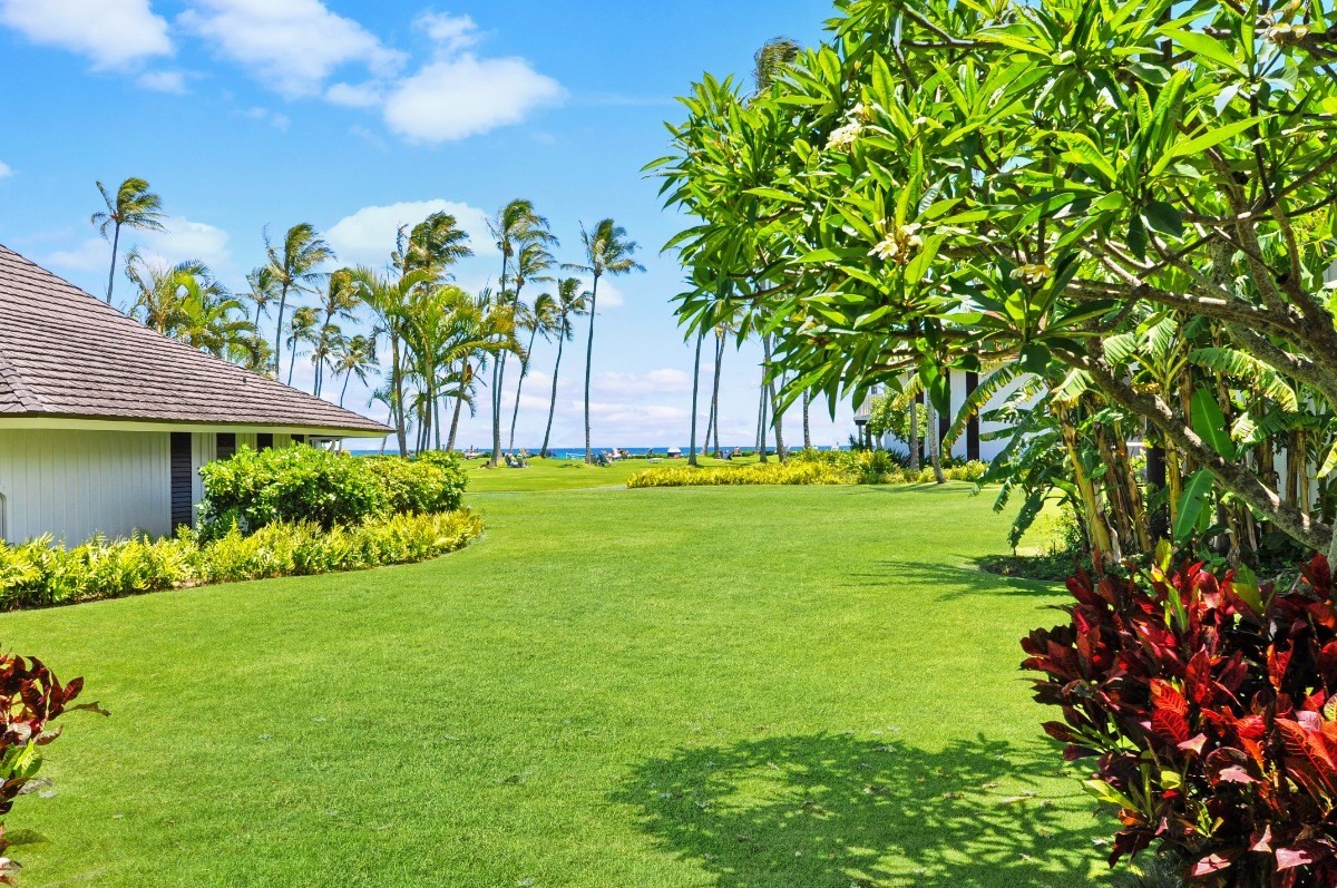 2253 Poipu Rd Unit: 159