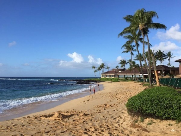 2253 Poipu Rd Unit: 230