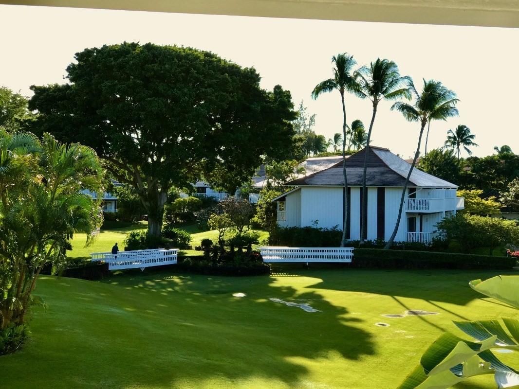 2253 Poipu Rd Unit: 154