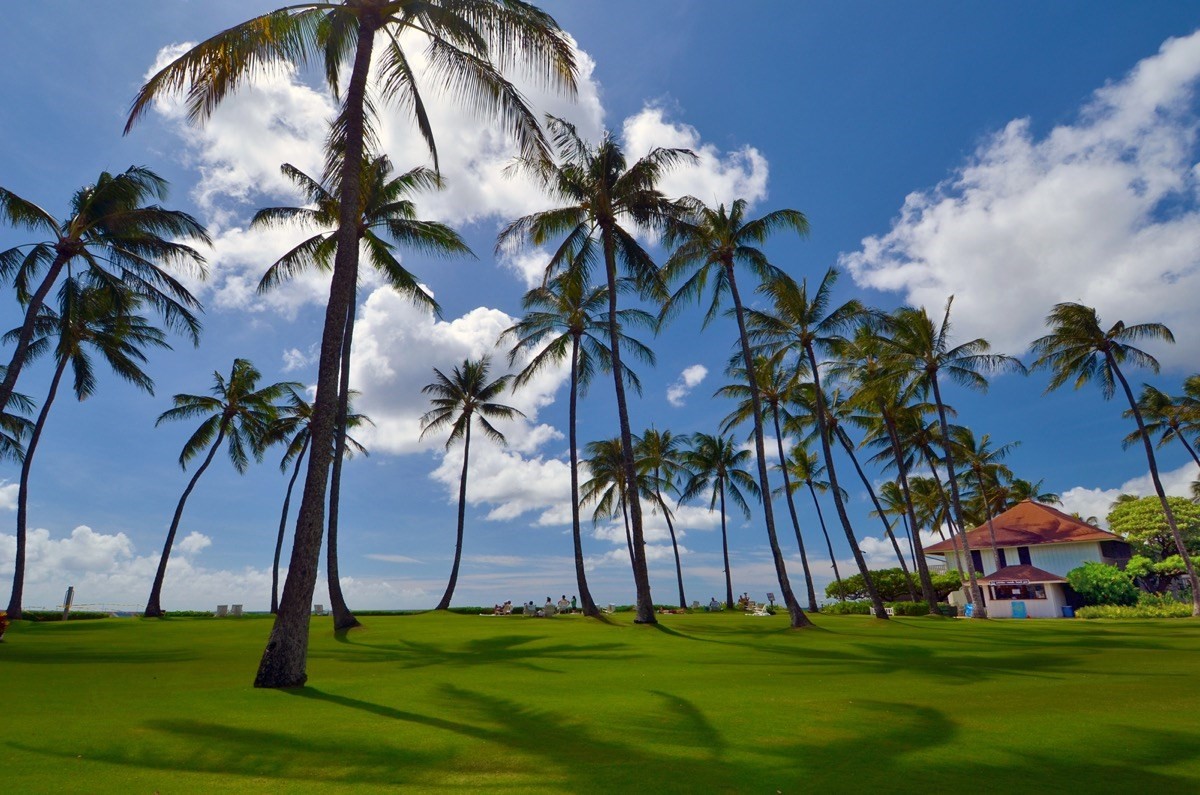 2253 Poipu Rd Unit: 332