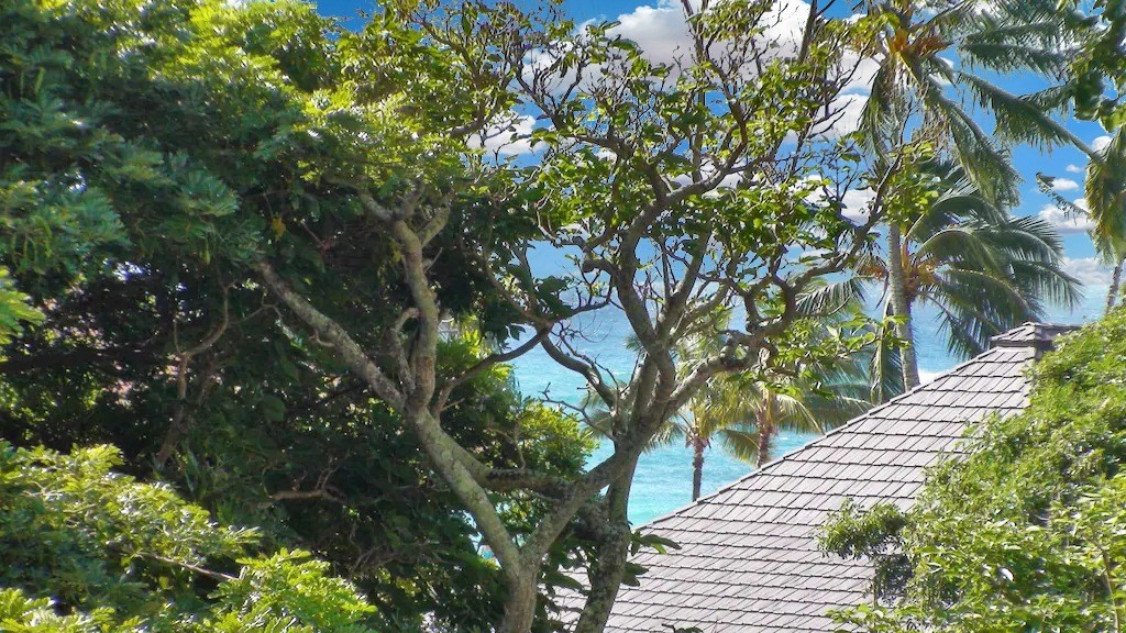 2253 Poipu Rd Unit: 228