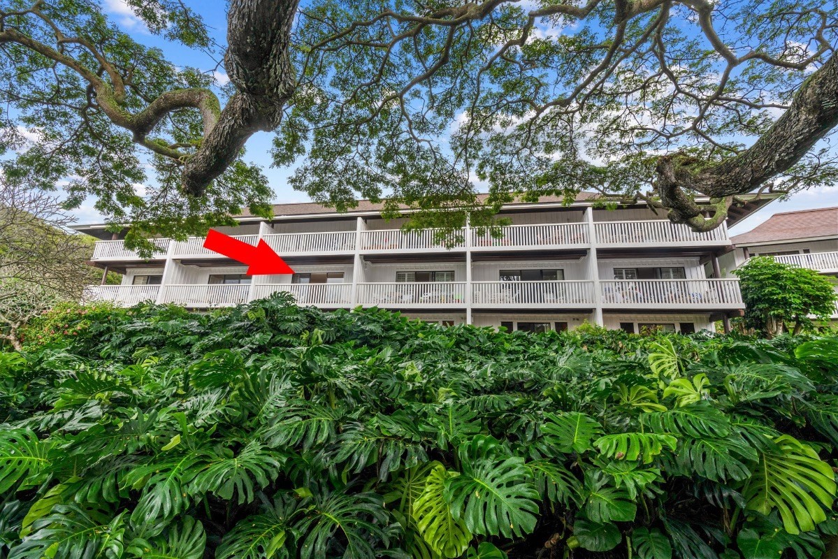 2253 Poipu Rd Unit: 222