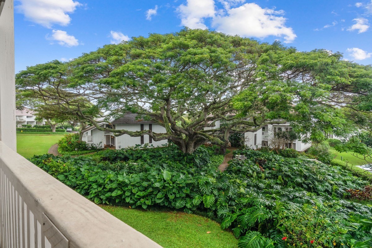 2253 Poipu Rd Unit: 222