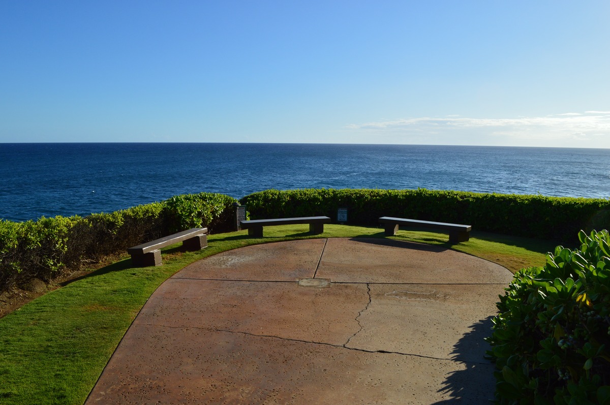 1661 Pee Rd Unit: 2102