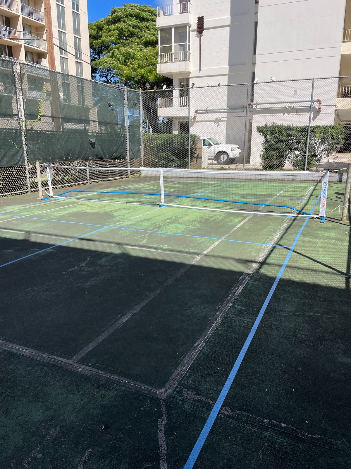 1621 Dole St Unit: 508