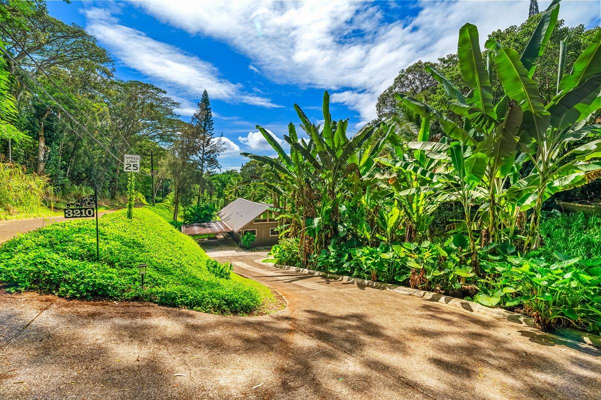 3210 Wawae Rd Unit: #B