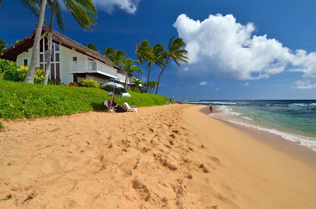 2253 Poipu Rd Unit: 333