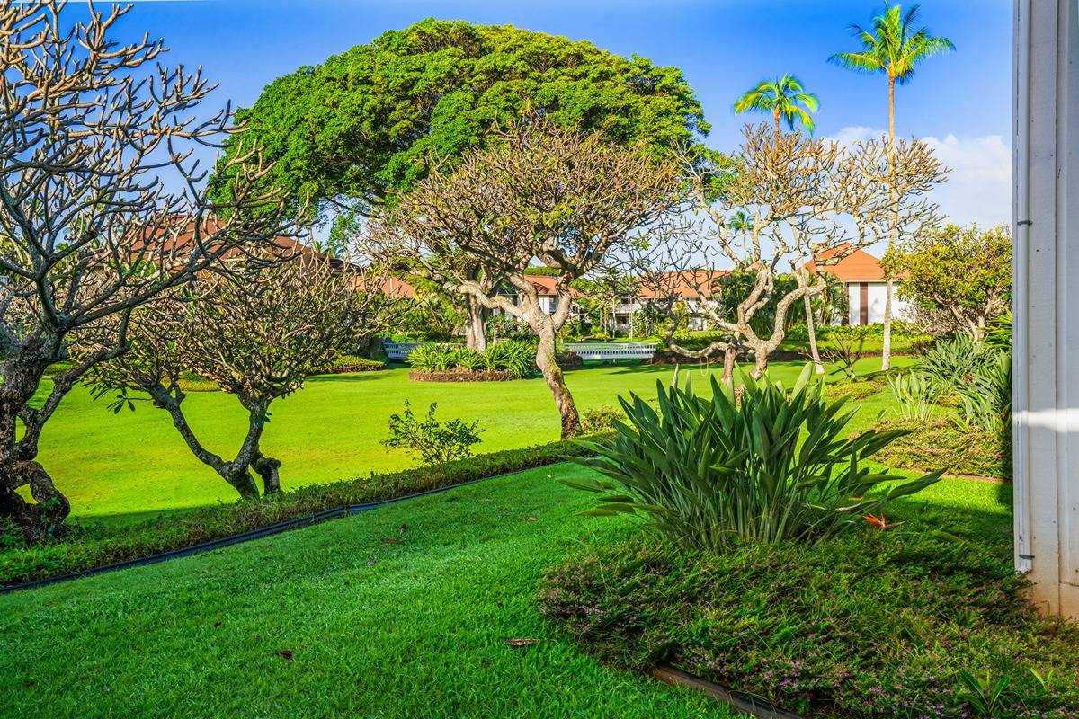 2253 Poipu Rd Unit: 56