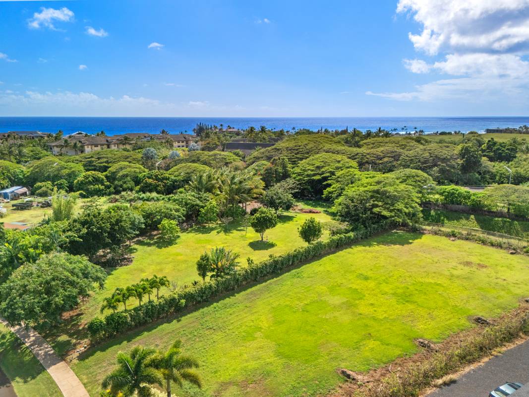 2709 HALALU ST 2