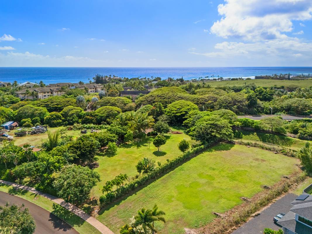 2709 HALALU ST 2