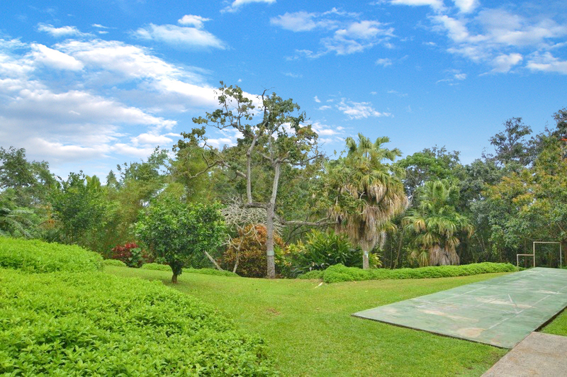 3-3400 KUHIO HWY C303