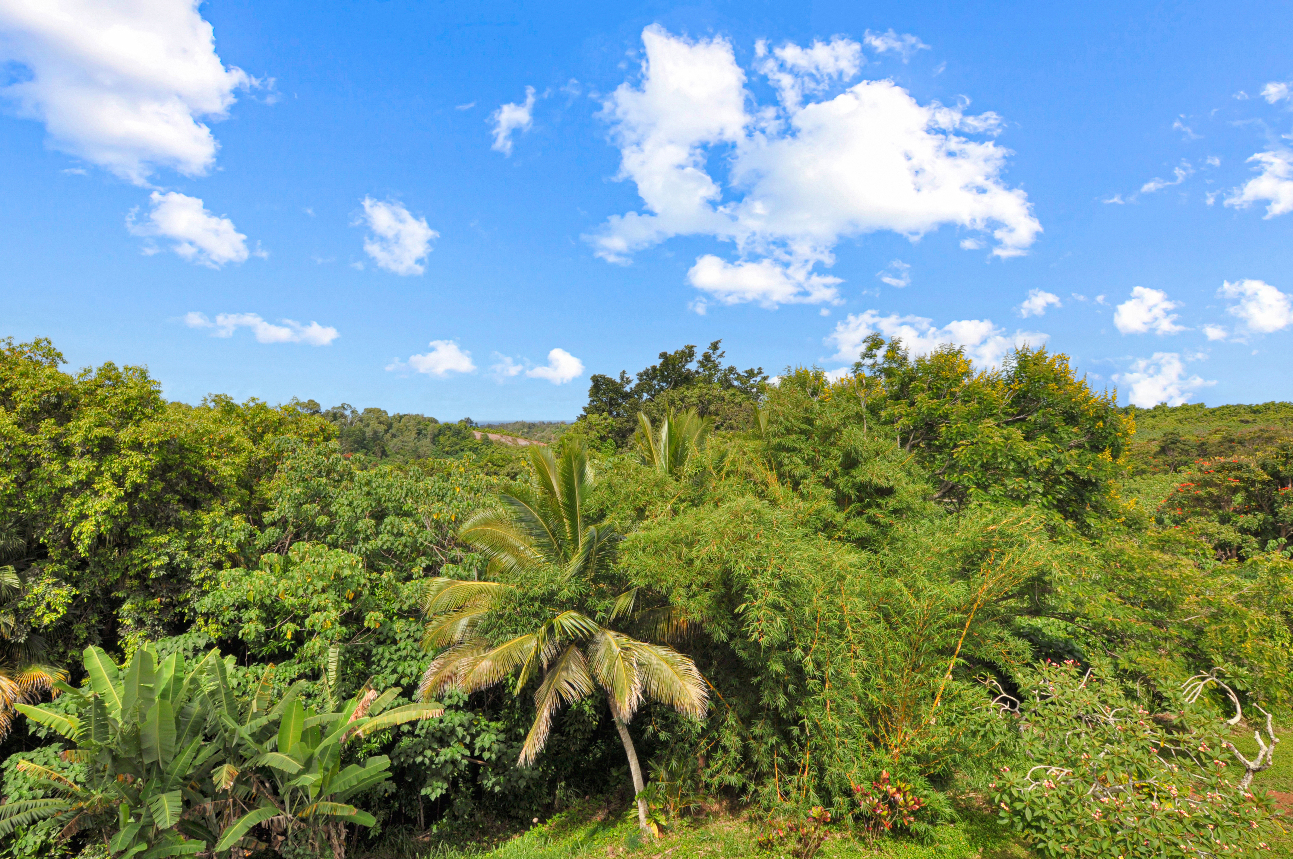 3-3400 KUHIO HWY C303