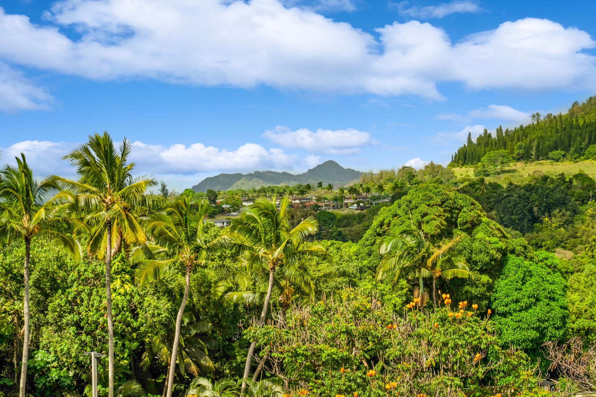 3-3400 KUHIO HWY B304