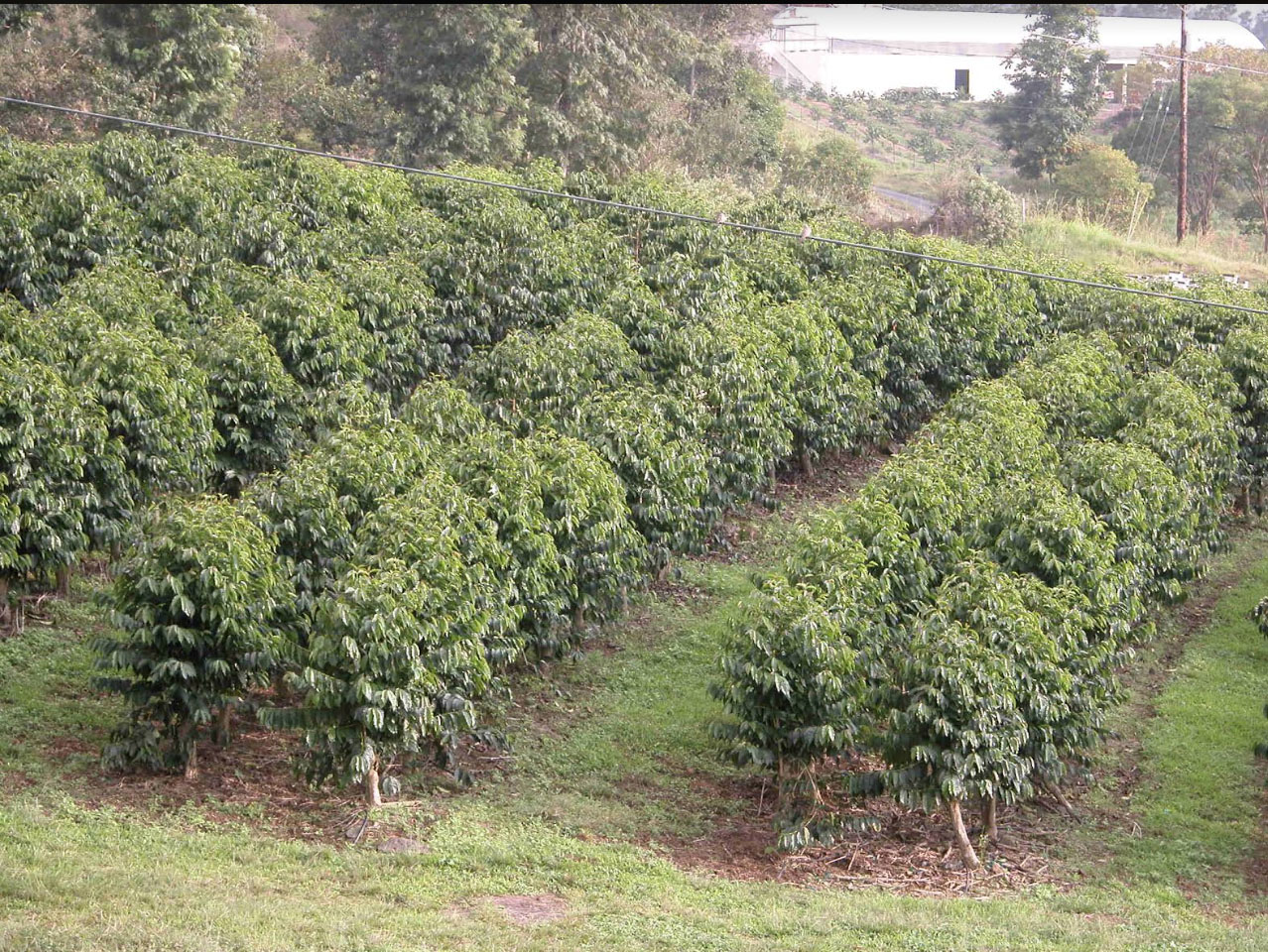 76-1133 WAIONO RANCH RD