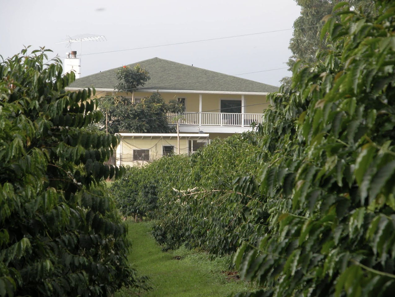 76-1133 WAIONO RANCH RD