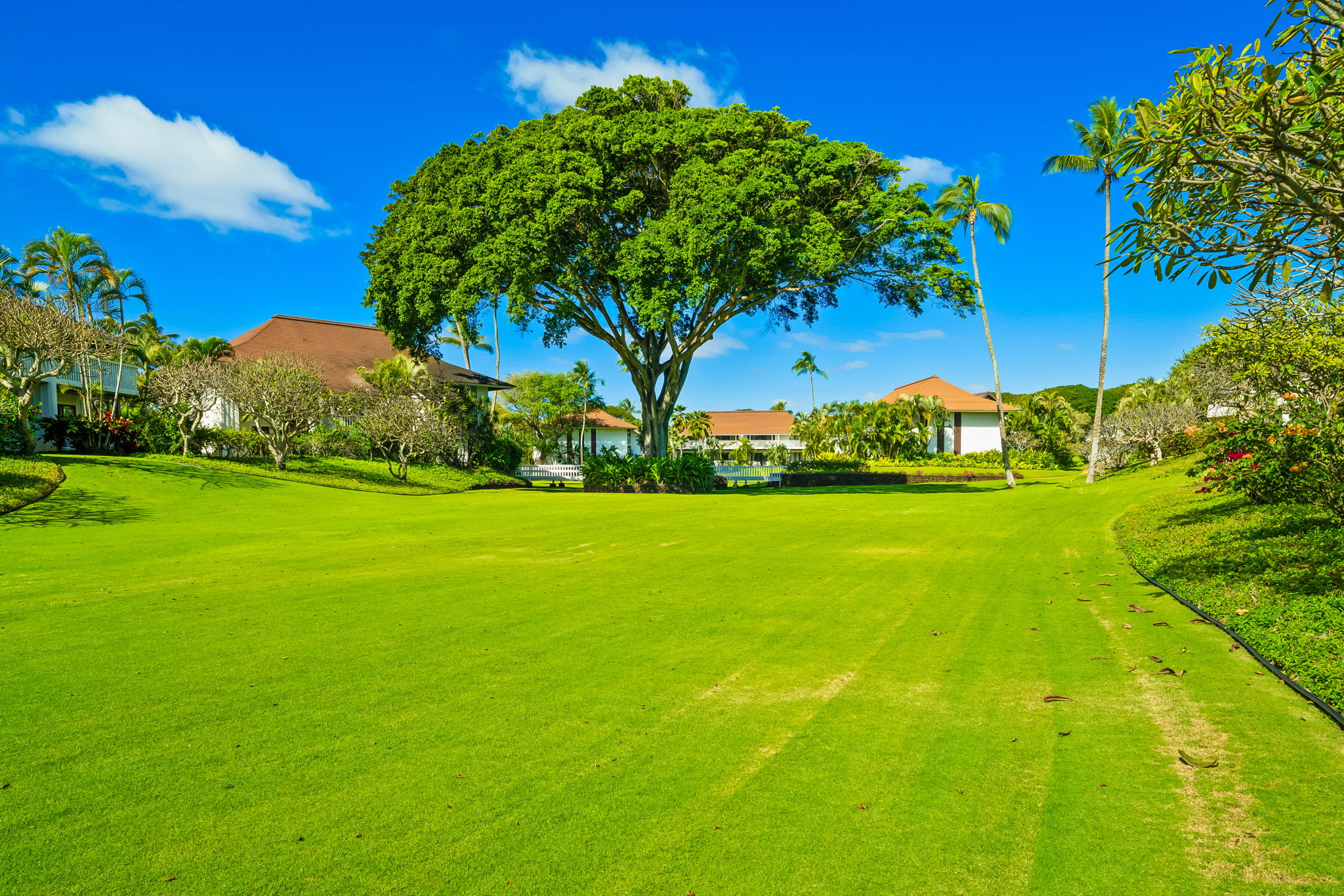 2253 POIPU RD 55