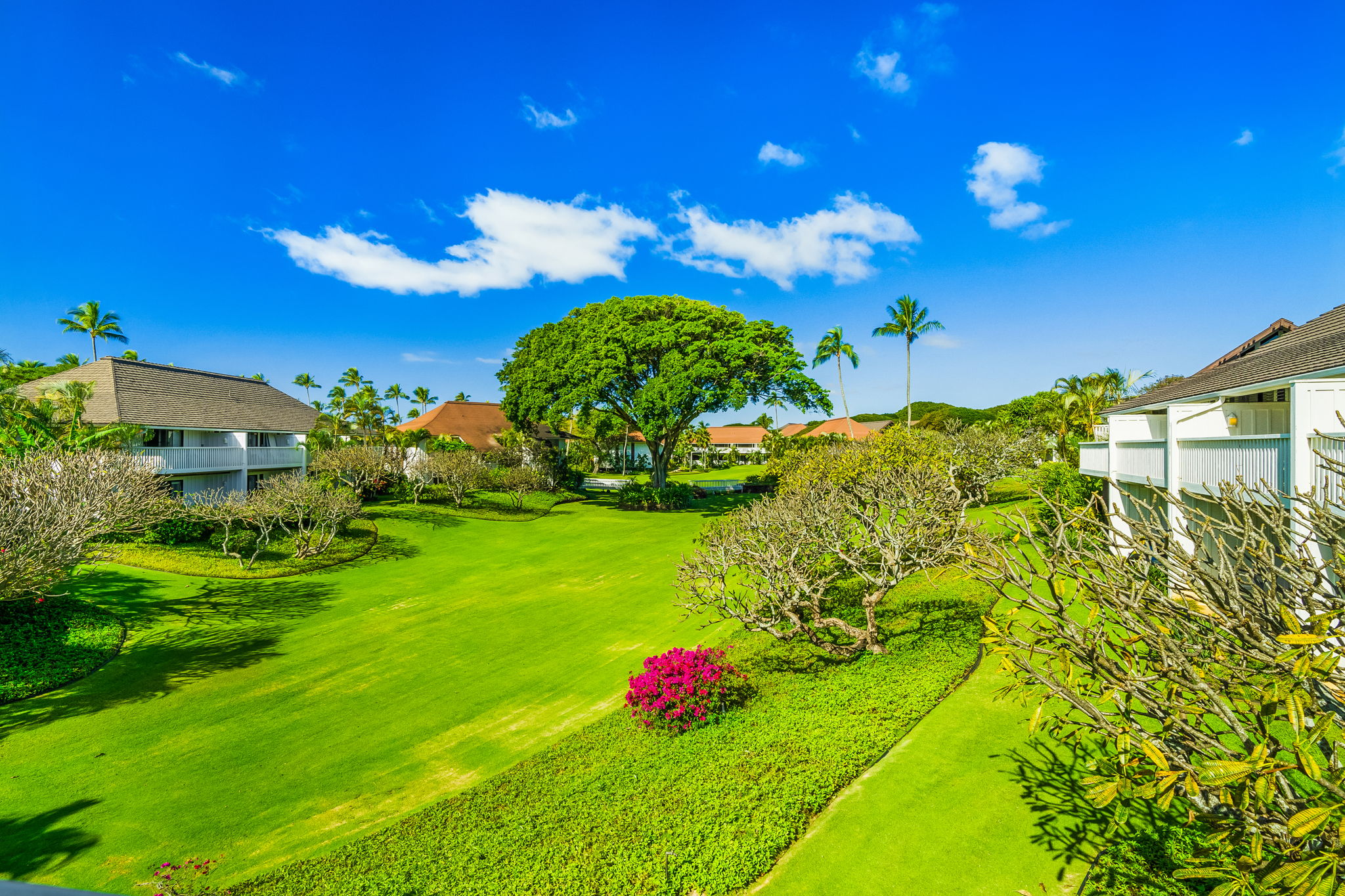 2253 POIPU RD 55