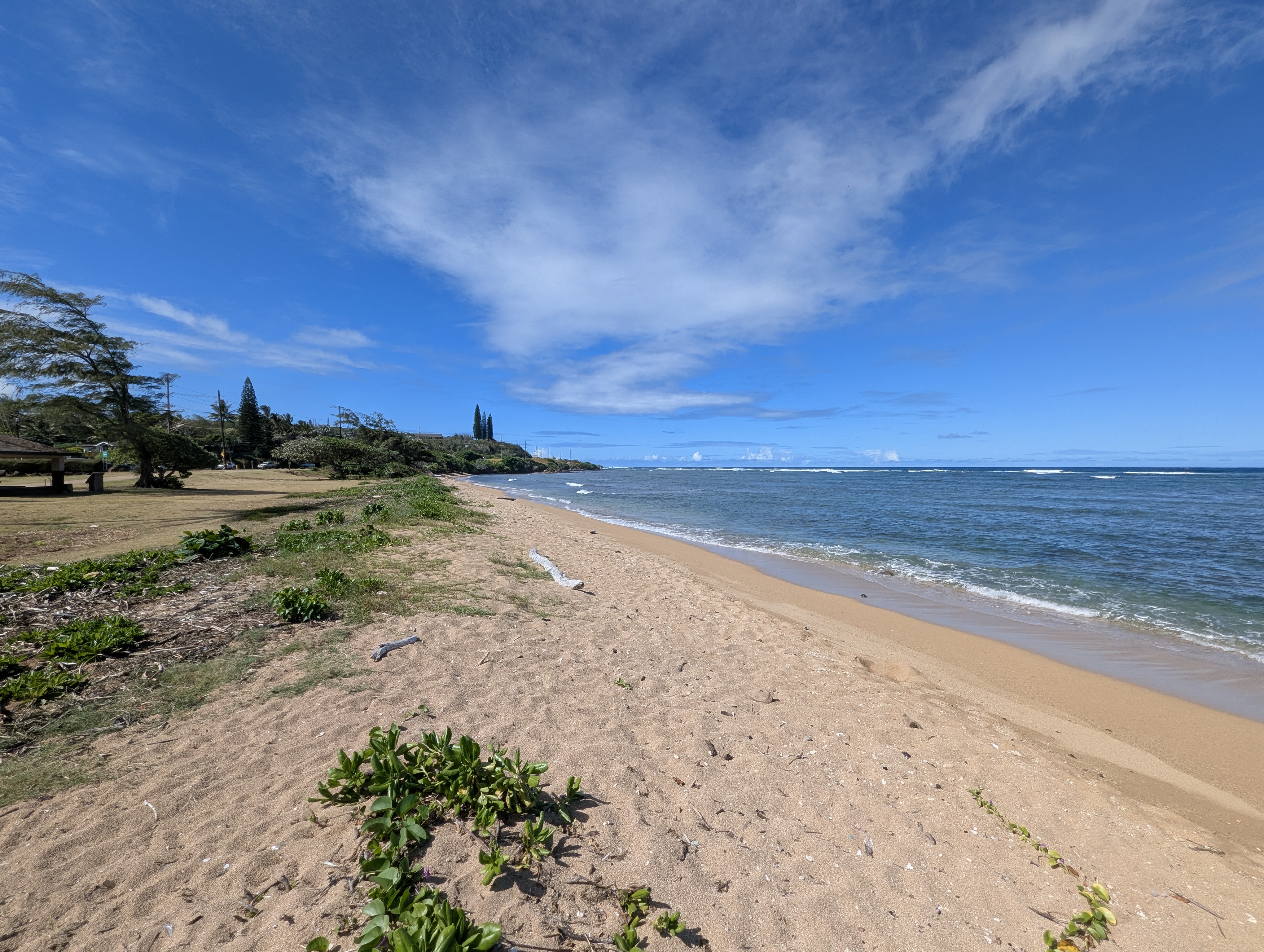 4-1638 KUHIO HWY