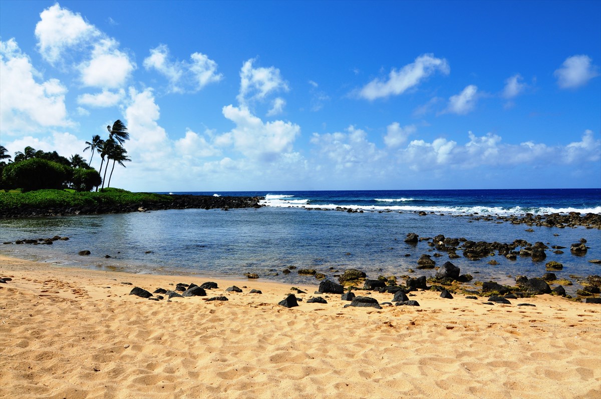 2640 PUUHOLO RD 231
