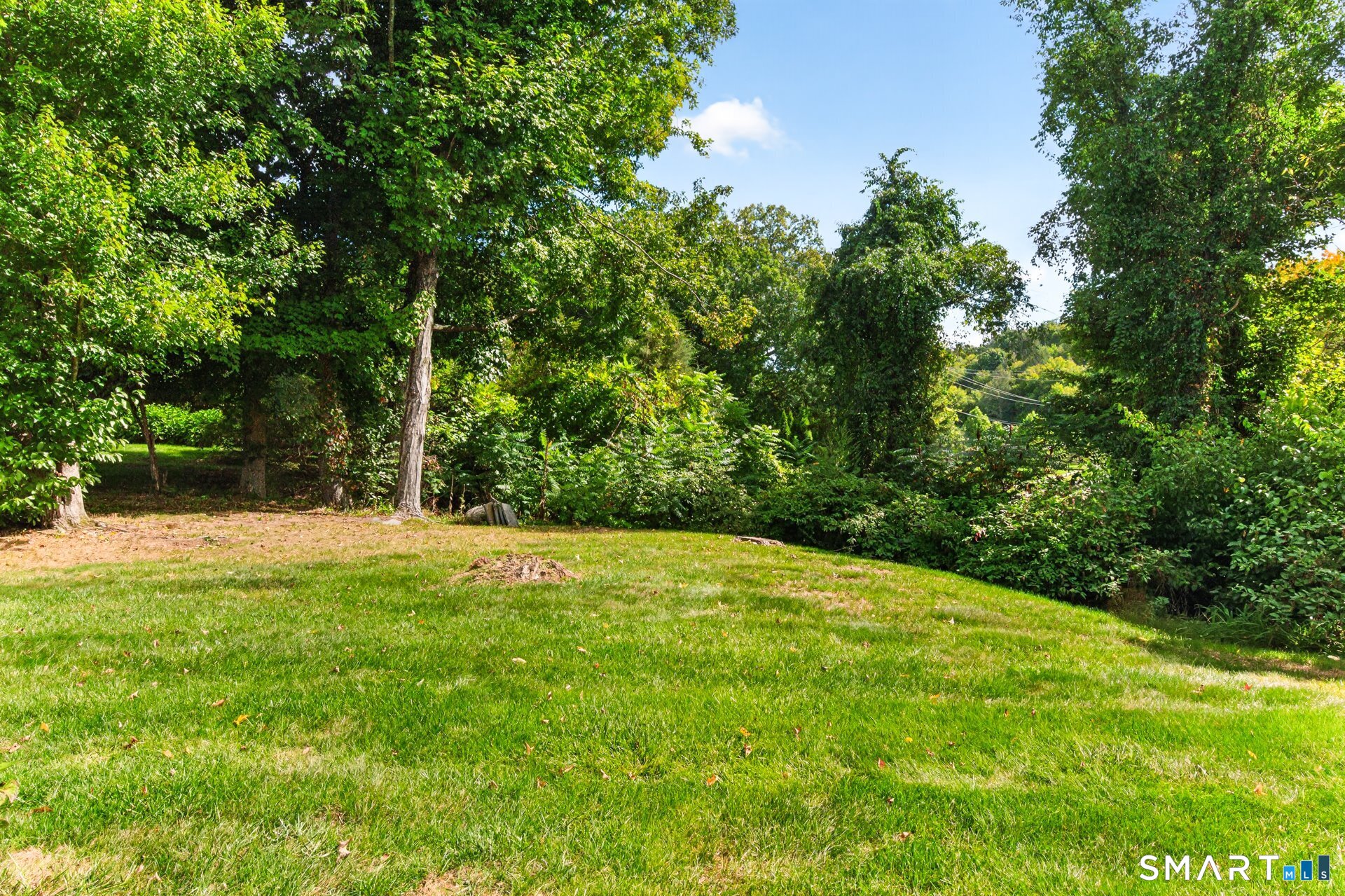 Grassy yard sloping toward mature trees and dense shrubs.