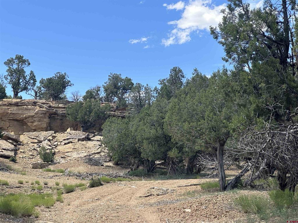 29135 Highway 160