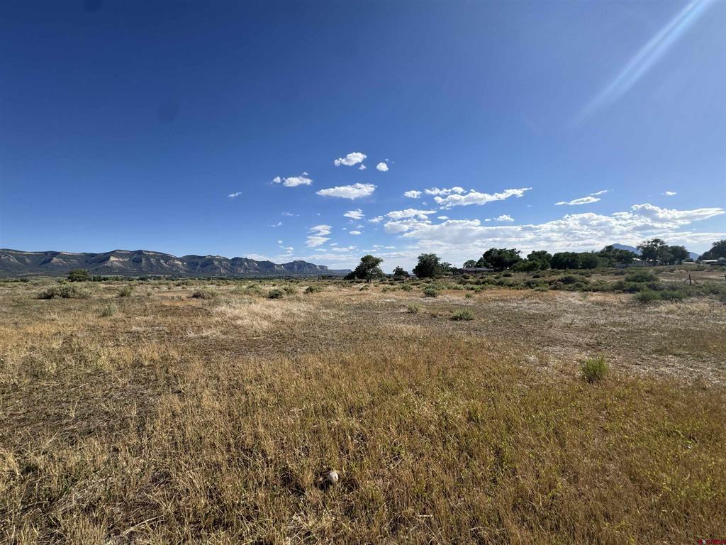 821 S Chestnut Street