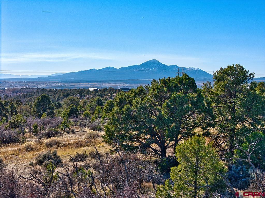 Lot 8 Road 25