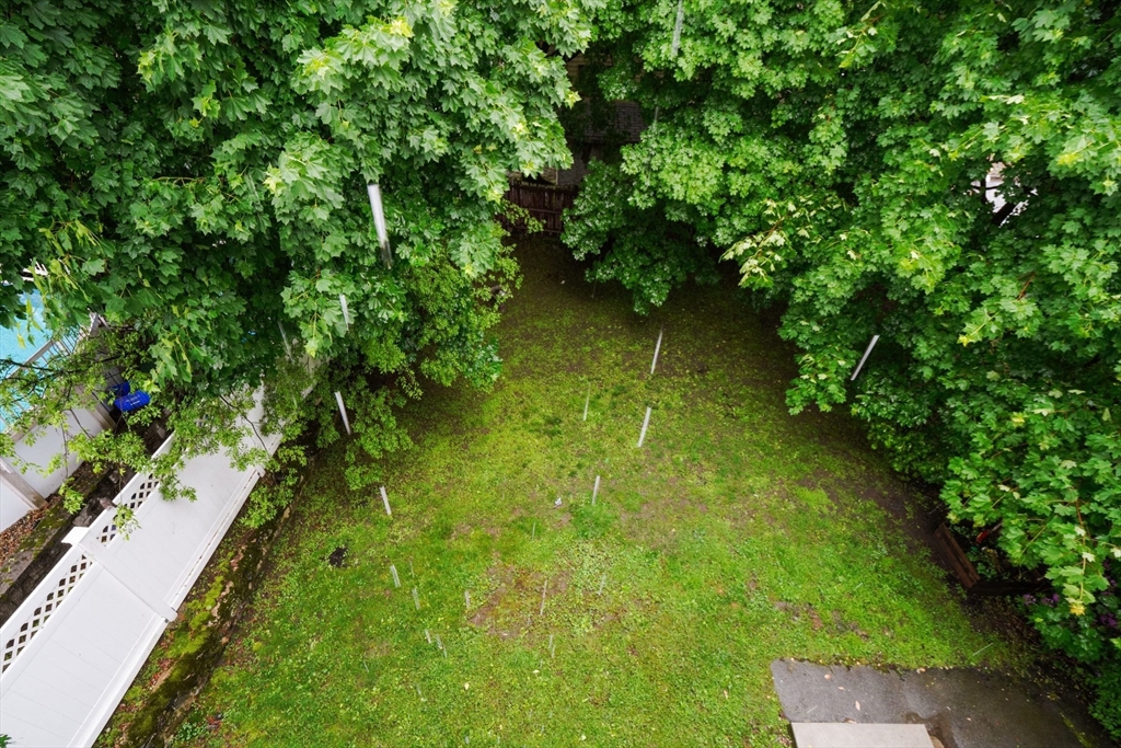 6 Horton St