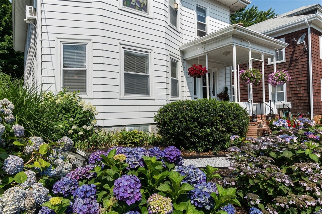 2A Linden Street # 1