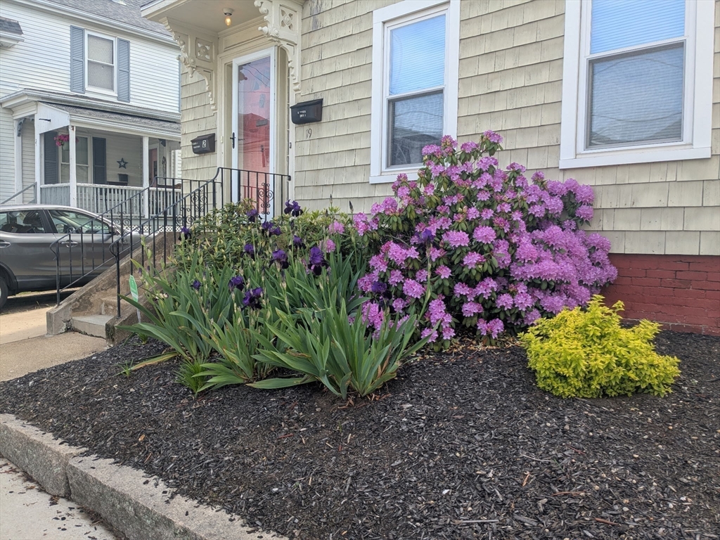 19 Trask St # 2
